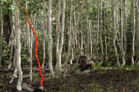 20110911_north rim_solo_jg_jg_0057.JPG 20110911_north rim_solo_jg_jg_0057.JPG